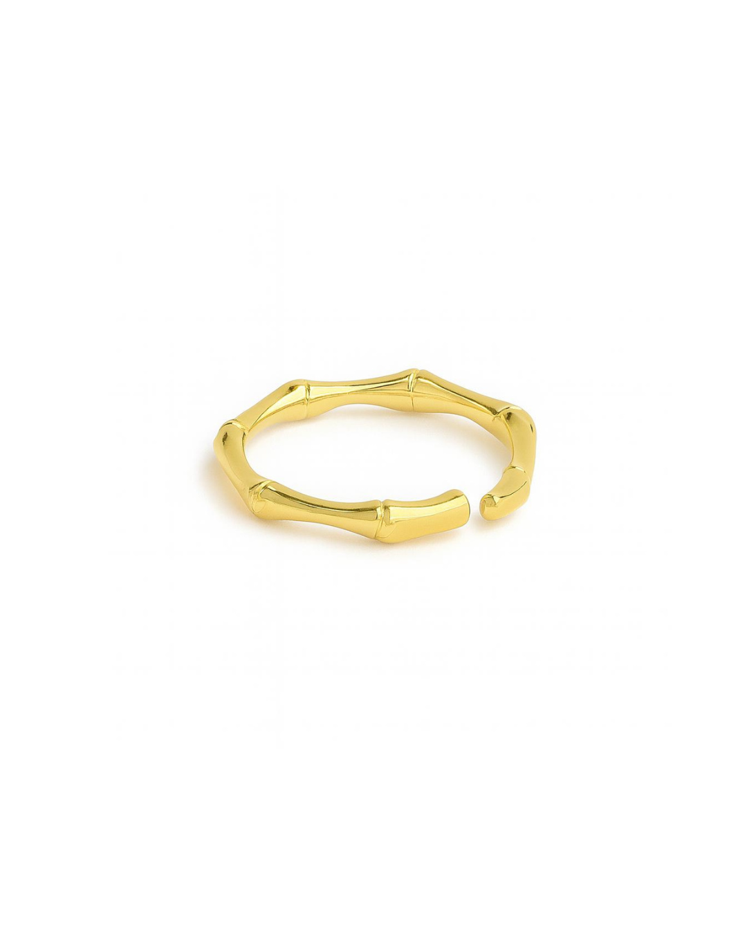 The Fractal Ring